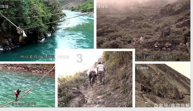 江西多地选举一批领导干部